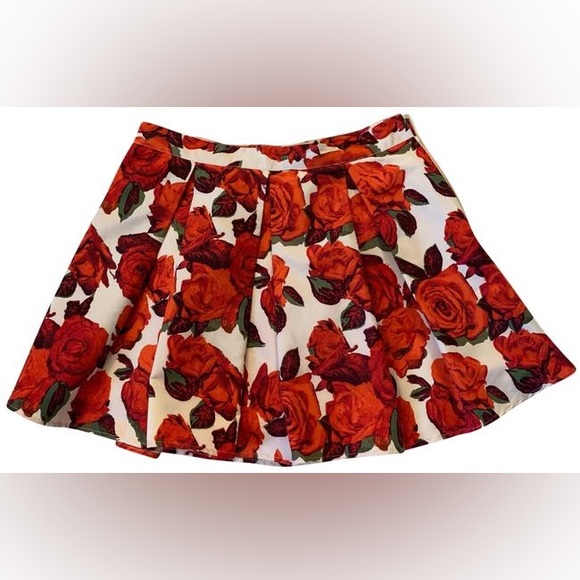 Red roses skirt - Picture 1 of 5